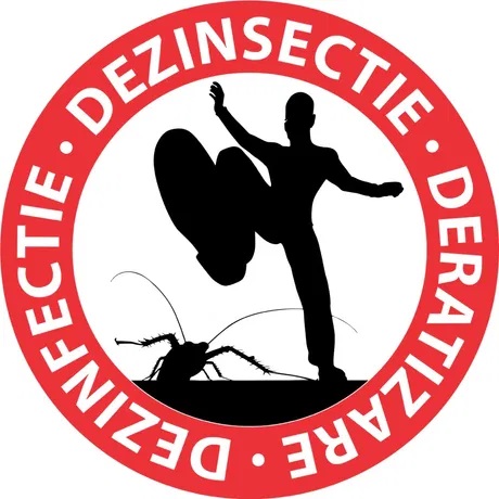 index.html